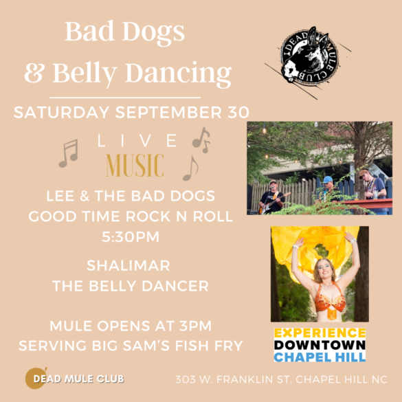 Bad Dogs and Belly Dancing (1)